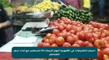 أسعار الخضراوات في القليوبية اليوم الأربعاء 20 أغسطس مع ثبات سعر الطماطم